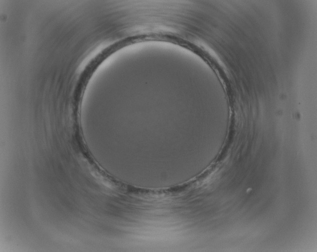 X0000076310975200610271935