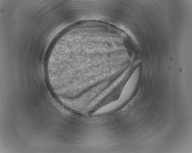 X0000076310976200610271935