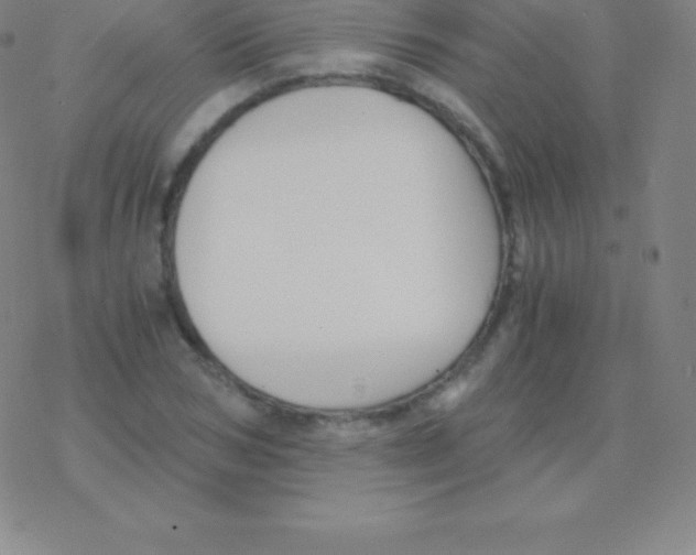 X0000076310978200610271935