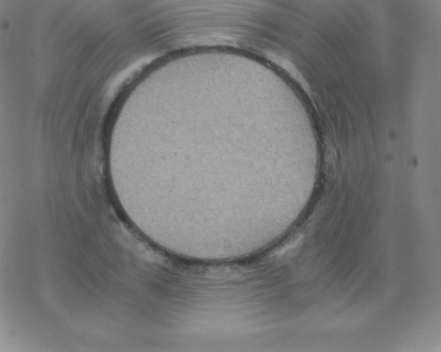 X0000076310979200610271935