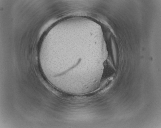 X0000076310981200610271935