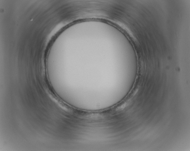 X0000076310982200610271935