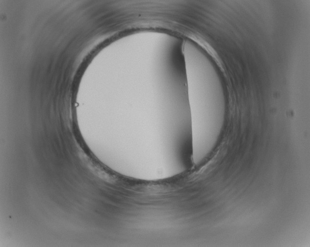 X0000076310984200610271935