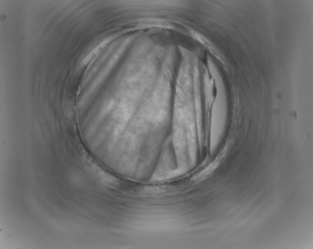 X0000076310985200610271935