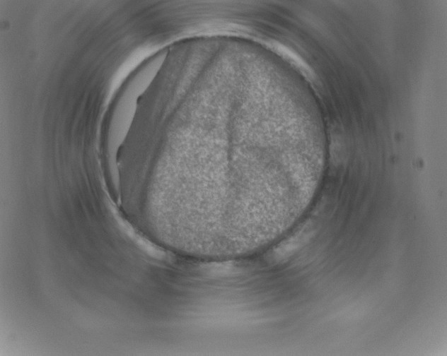 X0000076310990200610271935