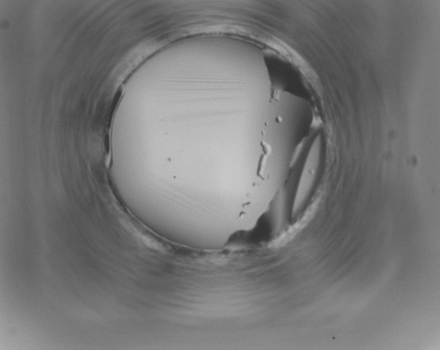 X0000076310993200610271935