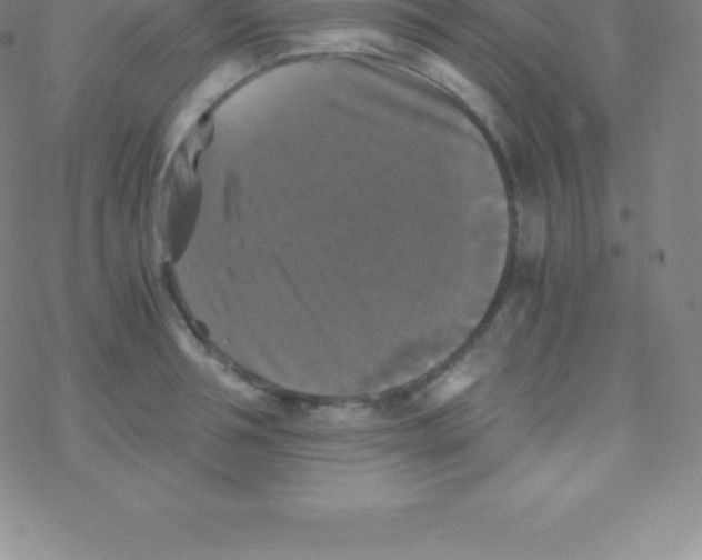 X0000076310994200610271935