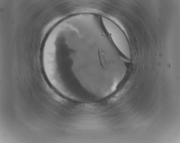 X0000076310995200610271934