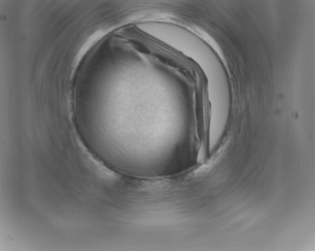 X0000076310997200610271934