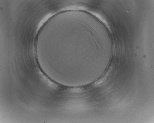 X0000076310998200610271934