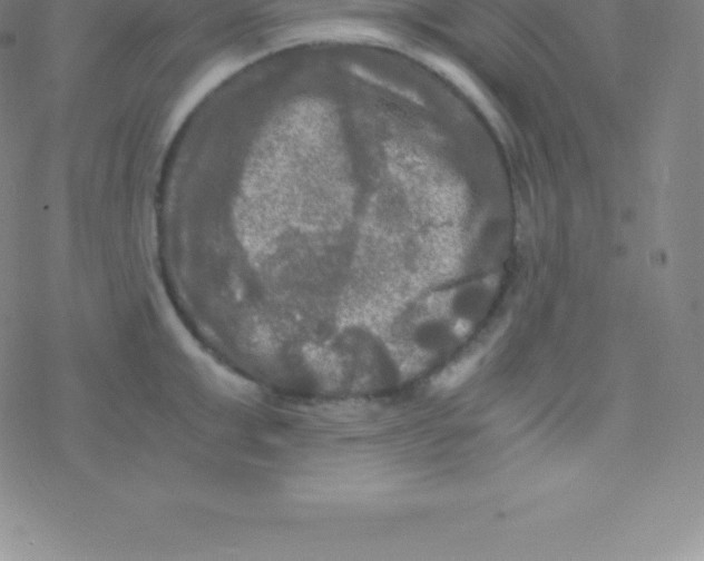 X0000076310999200610271934