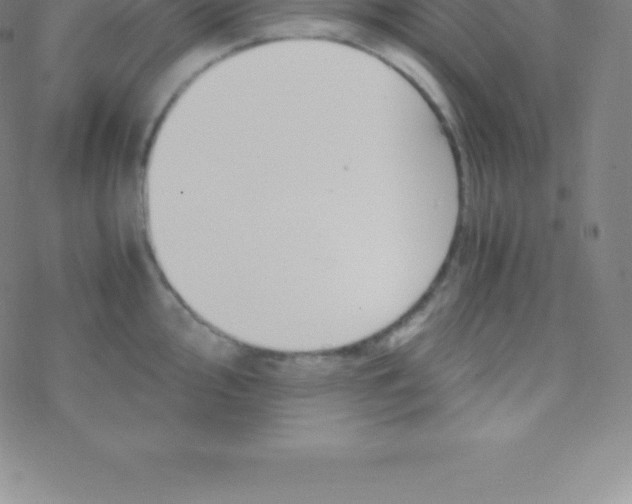 X0000076311000200610271934