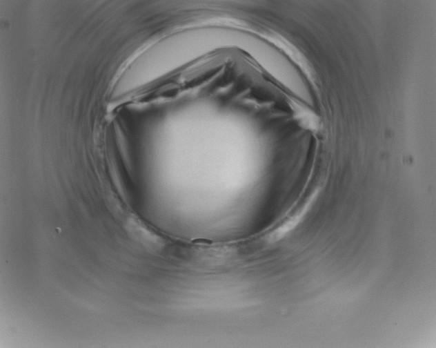 X0000076311001200610271934