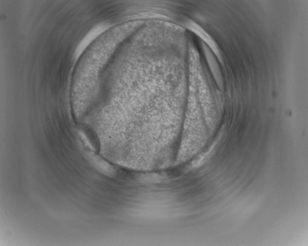 X0000076311002200610271934