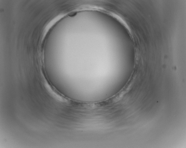 X0000076311003200610271934