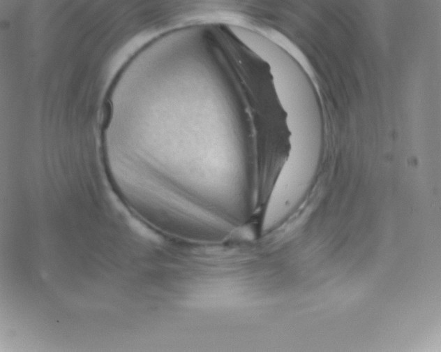 X0000076311005200610271934