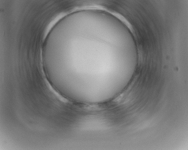 X0000076311006200610271934