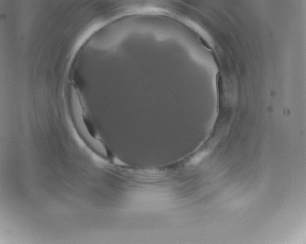 X0000076311007200610271934