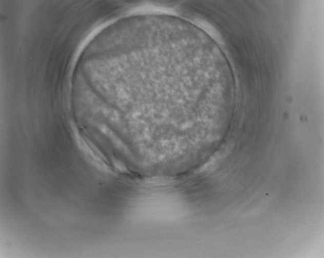 X0000076311008200610271934