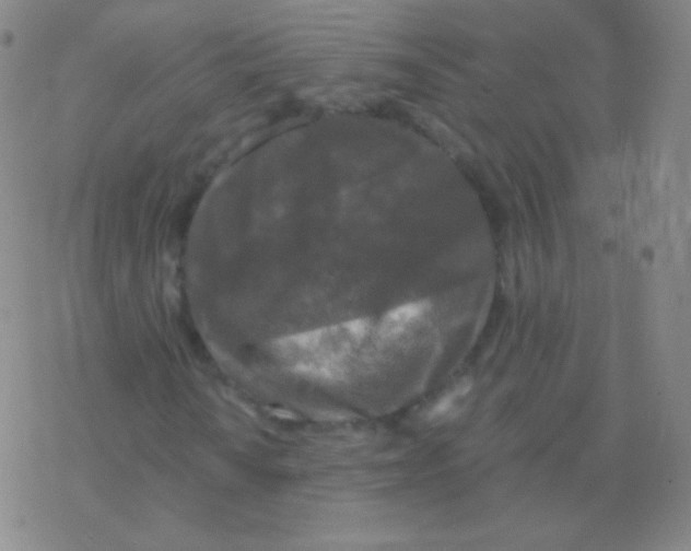 X0000076311010200610271934