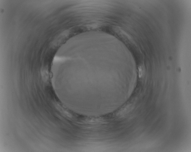 X0000076311011200610271934