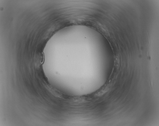 X0000076311012200610271934