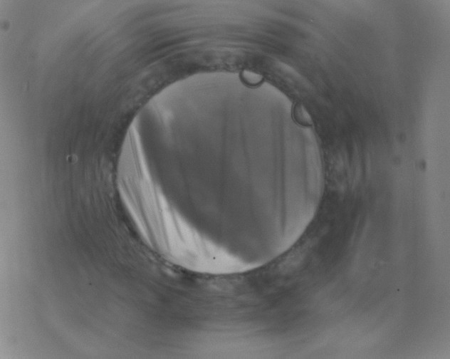 X0000076311013200610271934