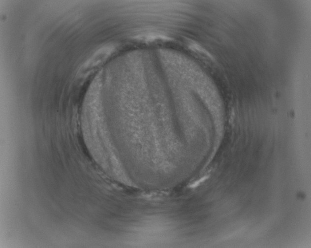 X0000076311014200610271934