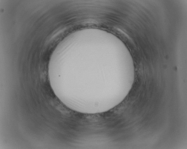 X0000076311015200610271934