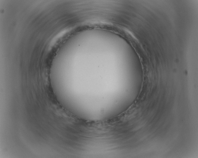 X0000076311016200610271934