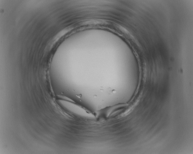 X0000076311017200610271934