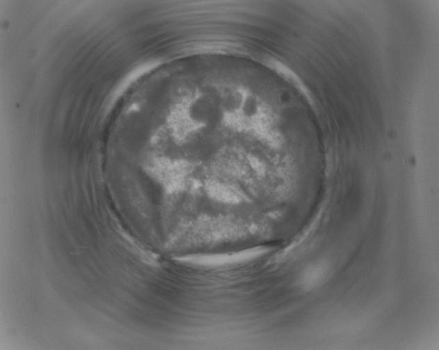 X0000076311019200610271934