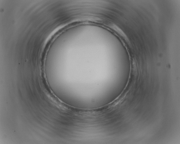 X0000076311020200610271934