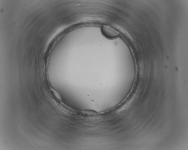 X0000076311021200610271934