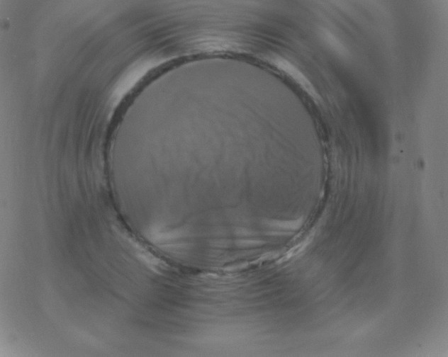 X0000076311023200610271934