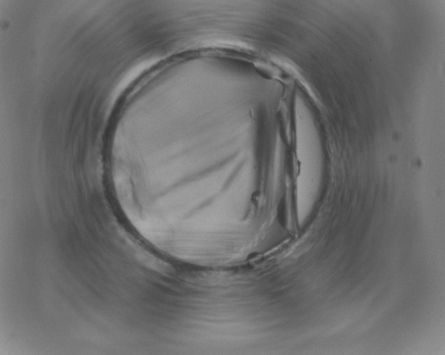 X0000076311024200610271934