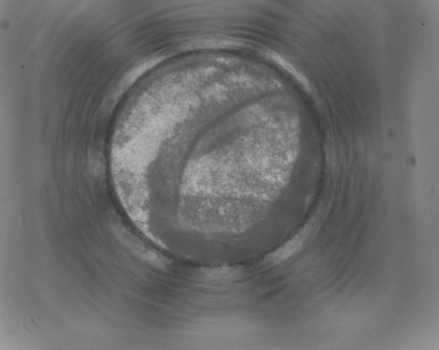 X0000076311025200610271934