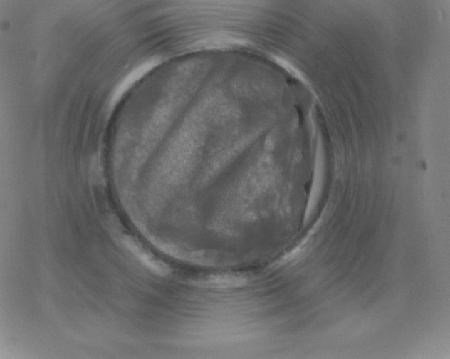 X0000076311026200610271934