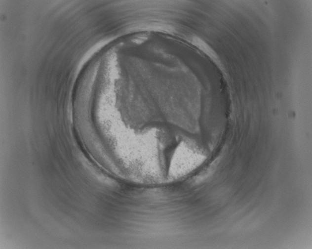 X0000076311028200610271934