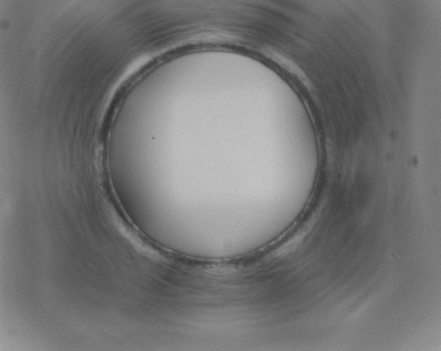 X0000076311029200610271934