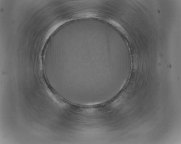 X0000076311031200610271934