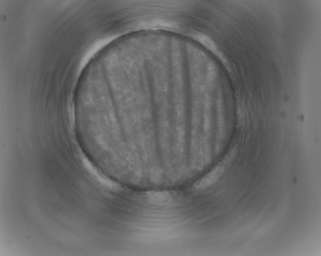 X0000076311032200610271934