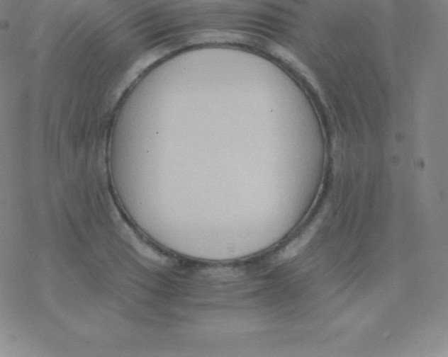 X0000076311033200610271934