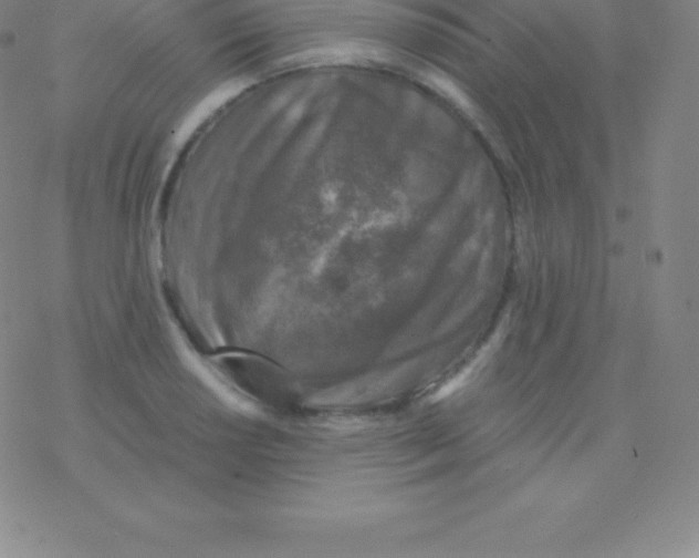 X0000076311034200610271934