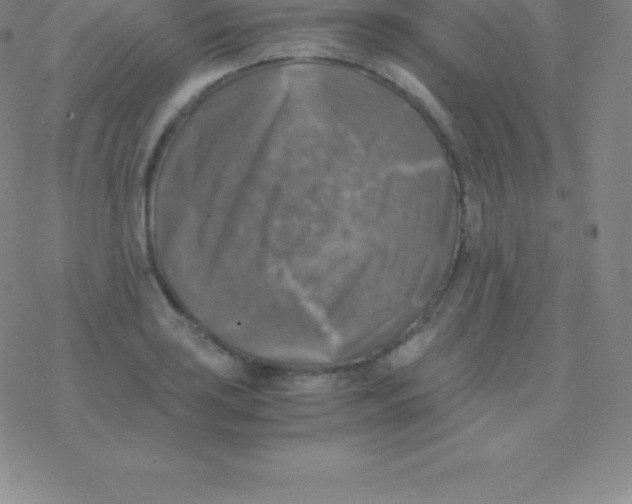 X0000076311035200610271934