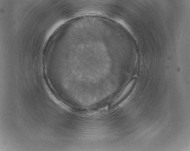 X0000076311038200610271934