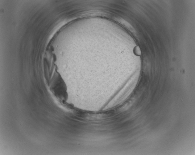 X0000076311039200610271934