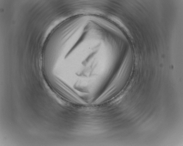 X0000076311040200610271934