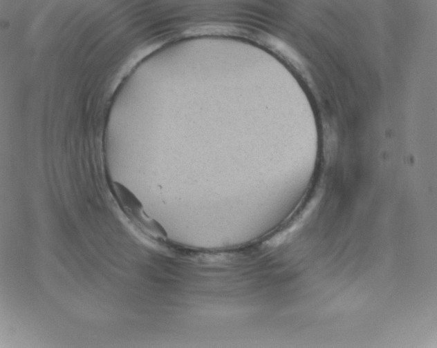 X0000076311041200610271934