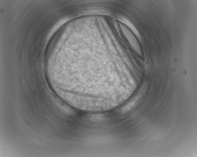 X0000076311043200610271934